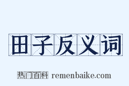 田子反义词是什么意思的图片